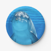 Bottlenose-Delphin betrachtet die Kamera unter Pappteller (Vorderseite)