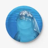 Bottlenose-Delphin betrachtet die Kamera unter Pappteller (Vorderseite)