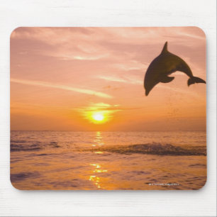 Bottlenose-Delphin, der 2 springt Mousepad