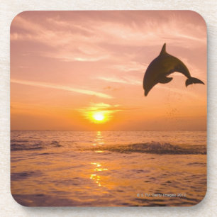 Bottlenose-Delphin, der 2 springt Untersetzer