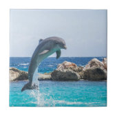 Bottlenose-Delphin Fliese (Vorderseite)