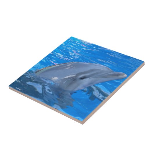 Bottlenose-Delphin-Fliese Fliese (Seite)