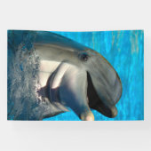 Bottlenose Delphin Head Banner (Horizontal)