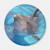 Bottlenose-Delphin Magnet (Vorne)