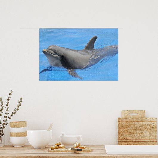 Bottlenose-Delphin Poster (Küche)