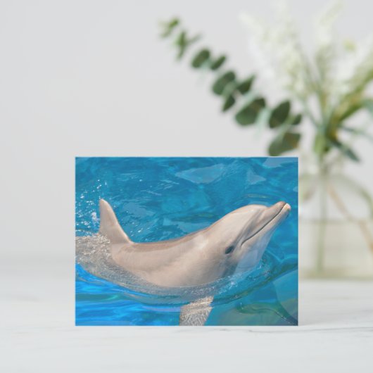 Bottlenose-Delphin Postkarte (Stehend Vorderseite)