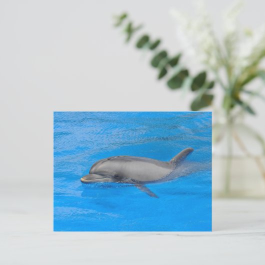 Bottlenose-Delphin Postkarte (Stehend Vorderseite)