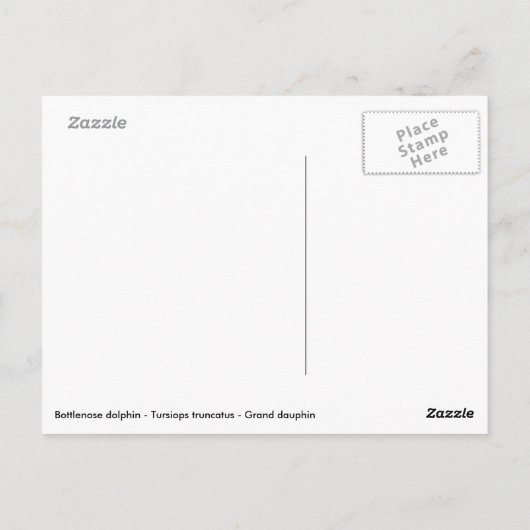 Bottlenose-Delphin Postkarte (Rückseite)