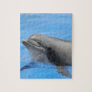 Bottlenose-Delphin Puzzle