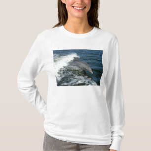 Bottlenose-Delphin T-Shirt