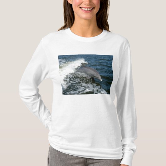 Bottlenose-Delphin T-Shirt (Vorderseite)