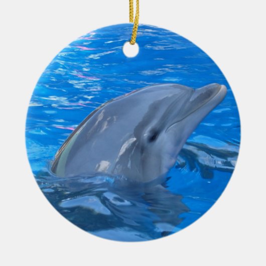 Bottlenose-Delphin-Verzierung Keramikornament (Vorne)