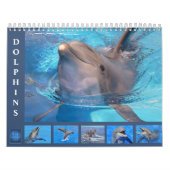 Bottlenose Delphine: 12 Monate Kalender (Titelbild)