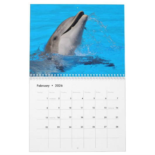 Bottlenose Delphine: 12 Monate Kalender (Feb 2026)