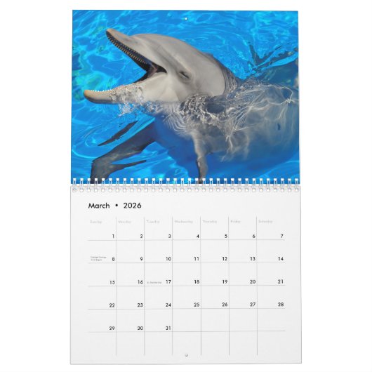 Bottlenose Delphine: 12 Monate Kalender (Mär 2026)