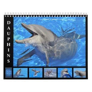 Bottlenose Delphine: 12 Monate Kalender