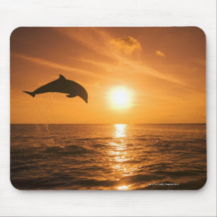 Bottlenose-Delphinspringen Mousepad