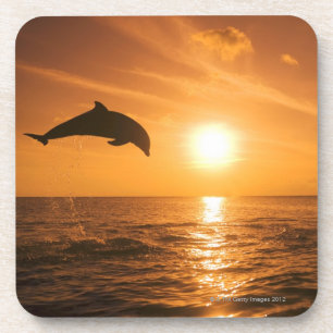 Bottlenose-Delphinspringen Untersetzer