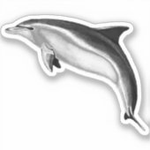 BOTTLENOSE DOLPHIN AUFKLEBER (Vorderseite)