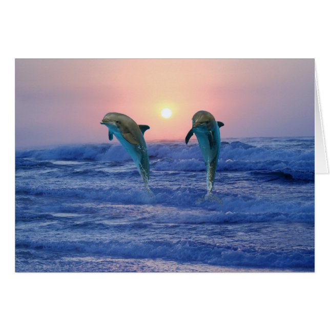Bottlenose Dolphin bei Sonnenaufgang (Vorderseite (Horizontal))