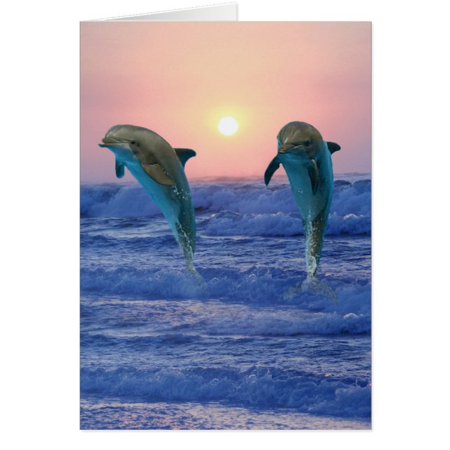 Bottlenose Dolphin bei Sonnenaufgang (Vorne)