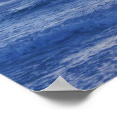 Bottlenose Dolphin bei Sonnenaufgang Poster (Ecke)