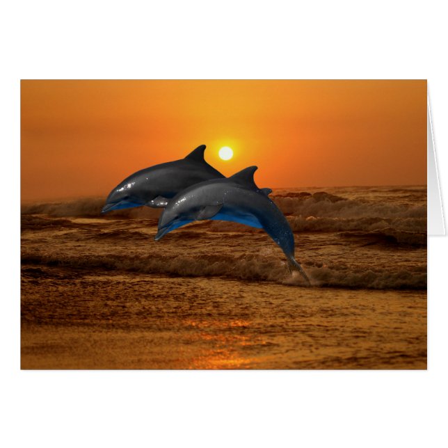 Bottlenose Dolphin bei Sonnenuntergang (Vorderseite (Horizontal))