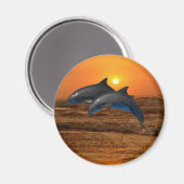 Bottlenose Dolphin bei Sonnenuntergang Magnet (Vorderseite/Rückseite)