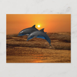 quadratische Postkarte Spanien Delfin Familie 