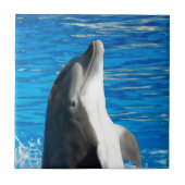 Bottlenose Dolphin Fliese (Vorderseite)