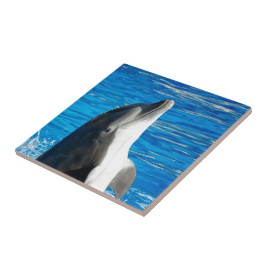 Bottlenose Dolphin Fliese (Seite)
