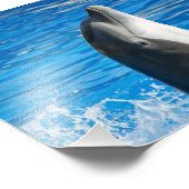 Bottlenose Dolphin Fotodruck (Ecke)