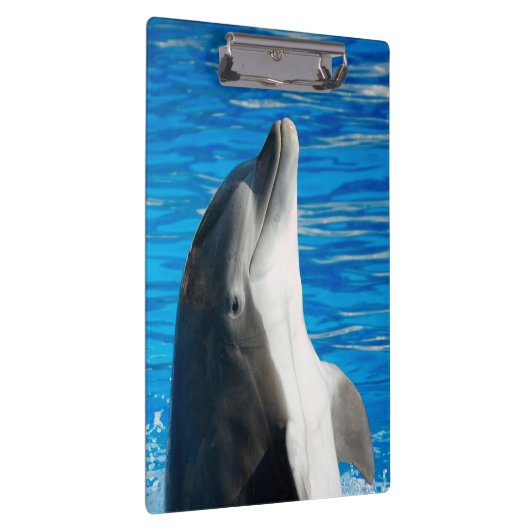 Bottlenose Dolphin Klemmbrett (Rechts)