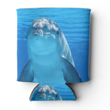 Bottlenose Dolphin looks at the camera under water