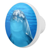 Bottlenose Dolphin looks at the camera under water Keramikknauf (Rechts)