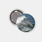 Bottlenose Dolphin Magnet (Vorderseite/Rückseite)