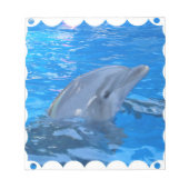 Bottlenose Dolphin Notepad Notizblock (Vorderseite)