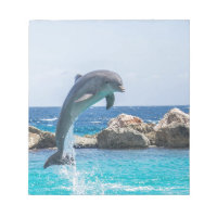 Bottlenose Dolphin