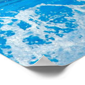 Bottlenose Dolphin Poster (Ecke)