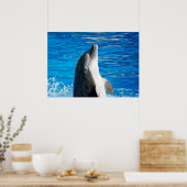 Bottlenose Dolphin Poster (Küche)