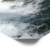 Bottlenose Dolphin Poster (Ecke)