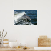 Bottlenose Dolphin Poster (Küche)