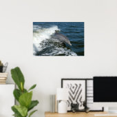 Bottlenose Dolphin Poster (Heimbüro)