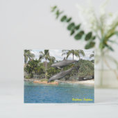 Bottlenose Dolphin Postkarte (Stehend Vorderseite)