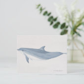 Bottlenose Dolphin Postkarte (Stehend Vorderseite)