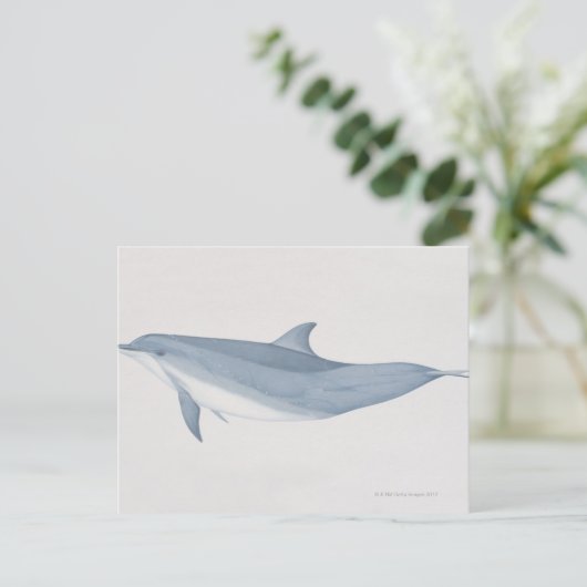 Bottlenose Dolphin Postkarte (Stehend Vorderseite)