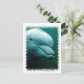 Bottlenose Dolphin Postkarte (Stehend Vorderseite)