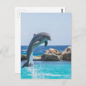 Bottlenose Dolphin Postkarte (Vorne/Hinten)