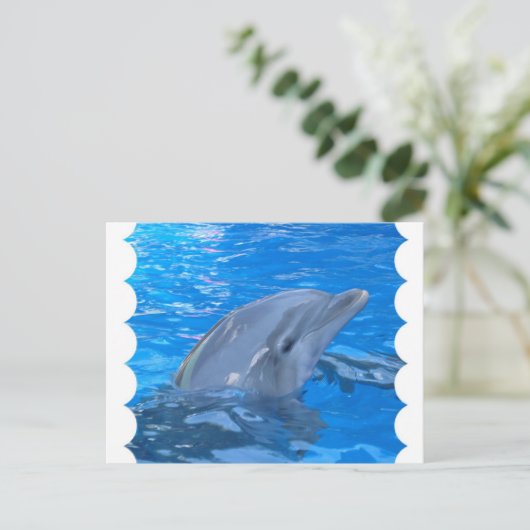 Bottlenose Dolphin Postkarte (Stehend Vorderseite)