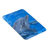 Bottlenose Dolphin Premium Magnet (Rechte Seite)